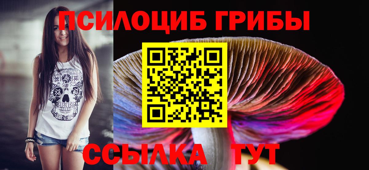 Псилоцибиновые грибы прущие грибы Кубинка